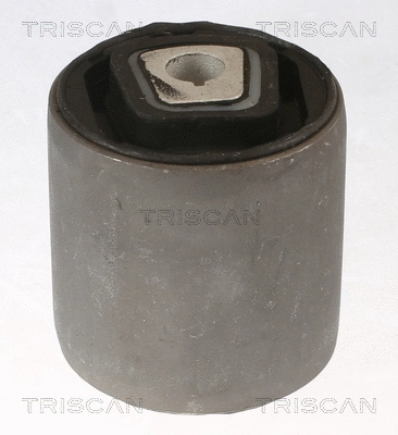 Mounting, control/trailing arm (8500 118042)