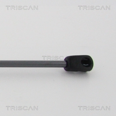 Gas Spring, bonnet
