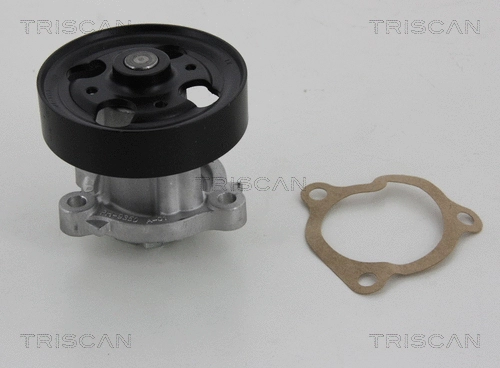 Water Pump, engine cooling (8600 14018)