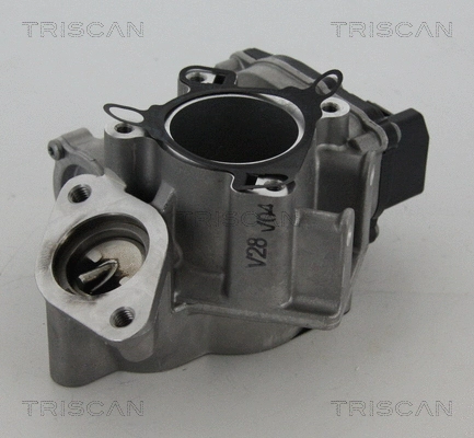 EGR Valve (8813 24039)