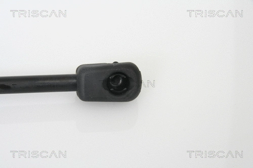 Gas Spring, boot/cargo area