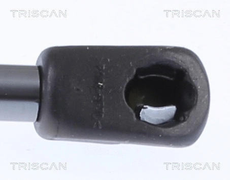 Gas Spring, boot/cargo area