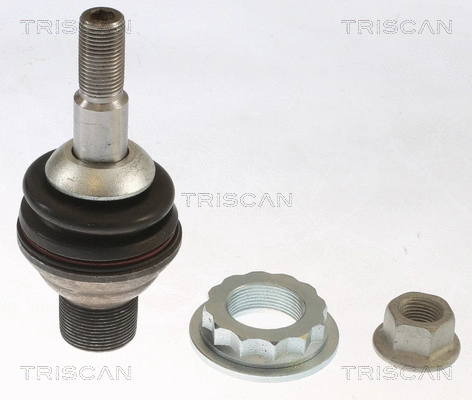 Ball Joint (8500 115054)