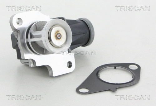 EGR Valve (8813 25040)