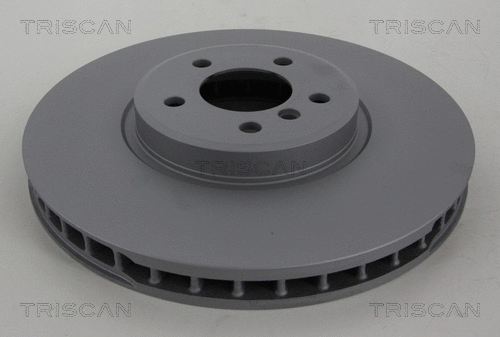 Brake Disc (8120 11193C)