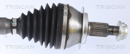 Drive Shaft