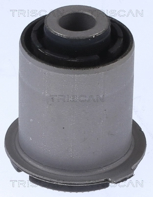 Mounting, control/trailing arm (8500 43838)