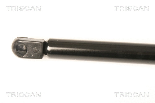 Gas Spring, bonnet