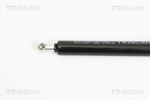 Gas Spring, boot/cargo area