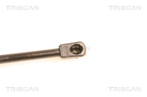 Gas Spring, boot/cargo area