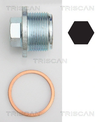 Screw Plug, oil sump (9500 2908)