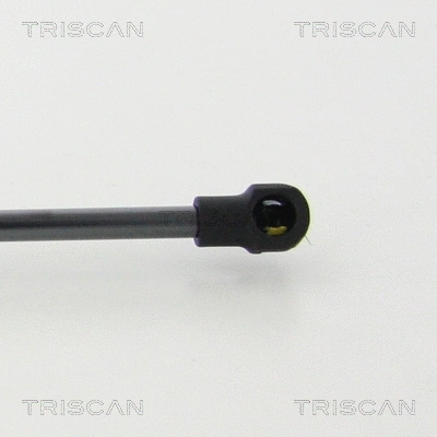 Gas Spring, rear window