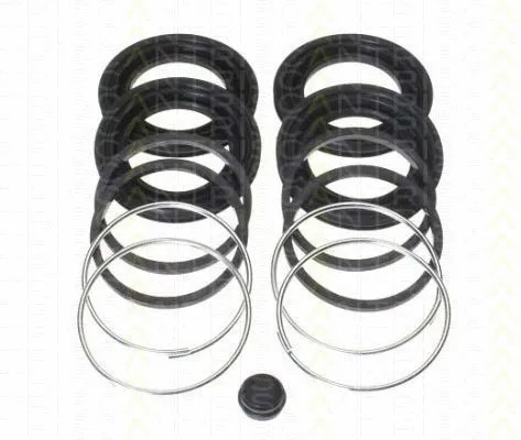 Repair Kit, brake caliper (8170 204534)