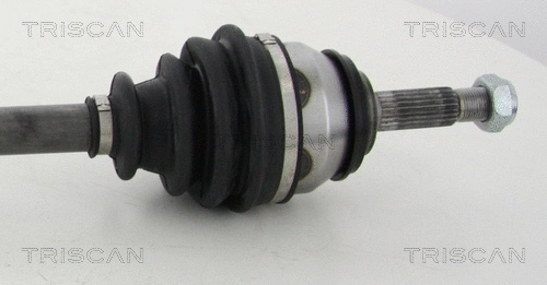 Drive Shaft