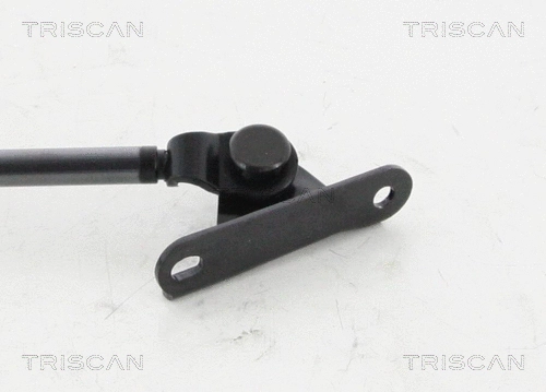 Gas Spring, boot/cargo area