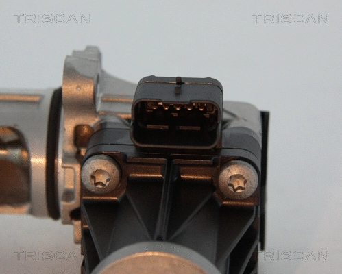EGR Valve
