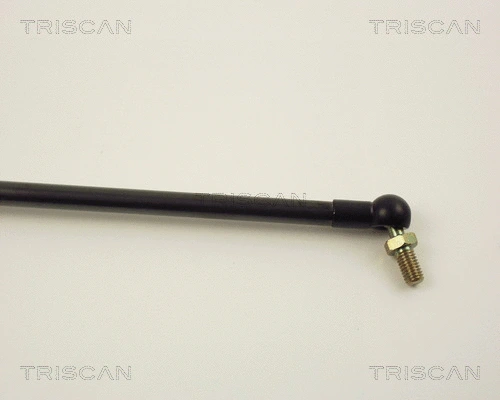 Gas Spring, boot/cargo area