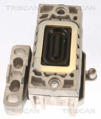 Mounting, engine