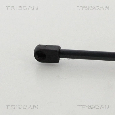 Gas Spring, boot/cargo area
