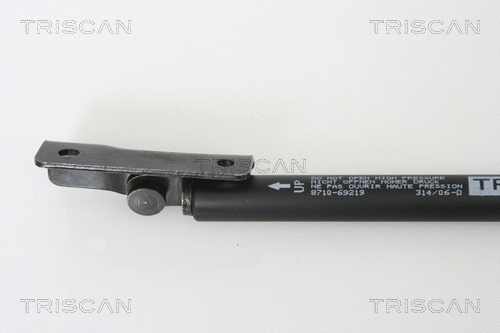 Gas Spring, boot/cargo area