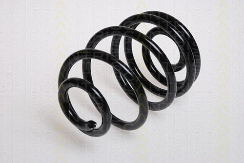 Suspension Spring (8750 24019)