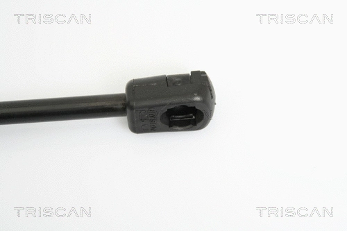 Gas Spring, boot/cargo area