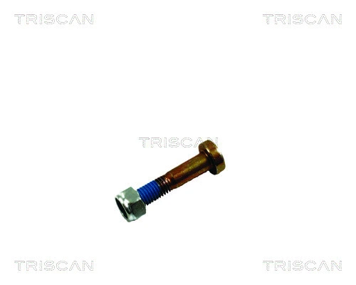 Mounting and Bolting Kit, control/trailing arm (8500 16861)