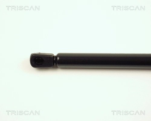 Gas Spring, boot/cargo area
