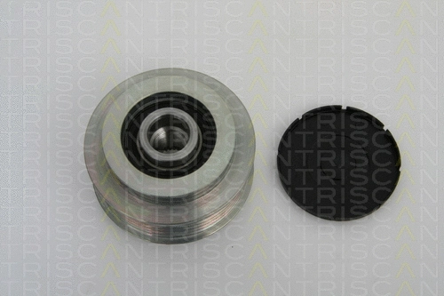 Alternator Freewheel Clutch (8641 294012)