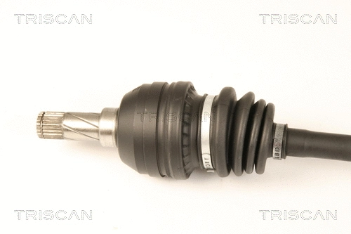 Drive Shaft