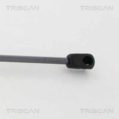 Gas Spring, bonnet