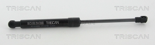 Gas Spring, boot/cargo area (8710 15252)