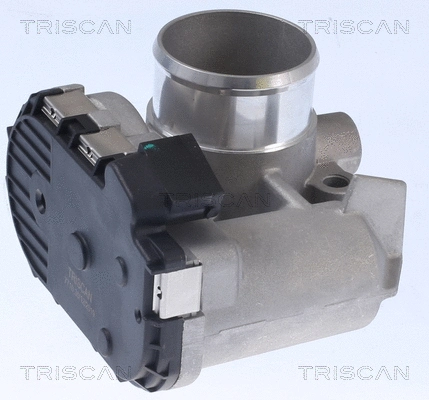Throttle Body (8820 15001)