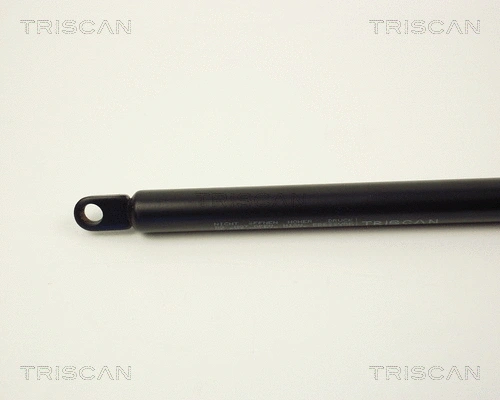 Gas Spring, boot/cargo area