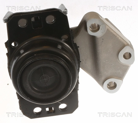Mounting, engine