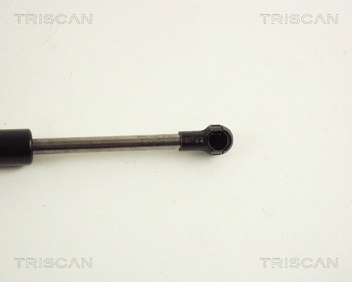 Gas Spring, boot/cargo area