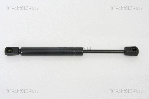 Gas Spring, boot/cargo area (8710 50242)