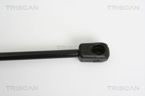 Gas Spring, boot/cargo area
