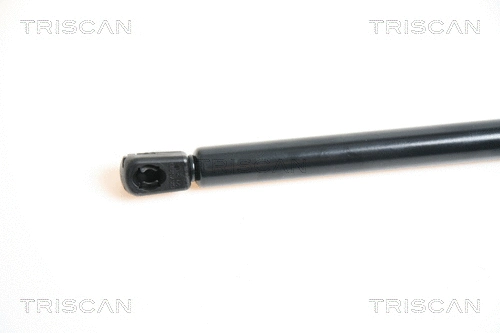 Gas Spring, bonnet