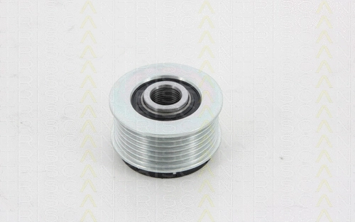 Alternator Freewheel Clutch (8641 164004)