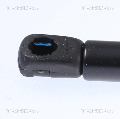 Gas Spring, bonnet