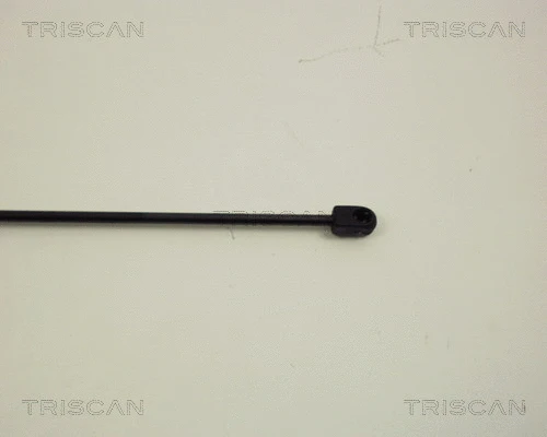 Gas Spring, boot/cargo area