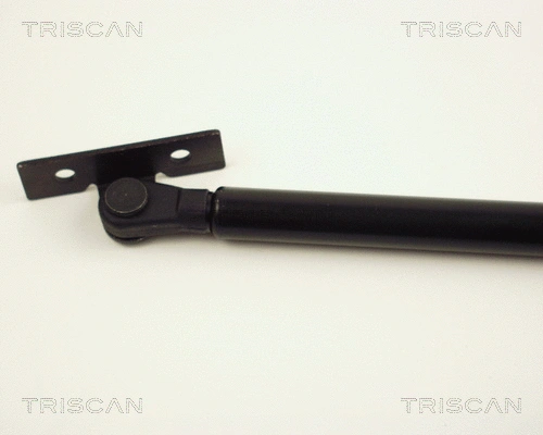 Gas Spring, bonnet