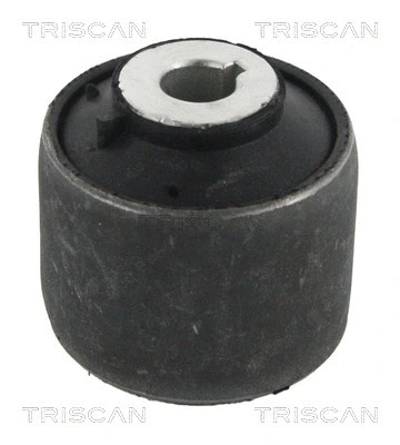Mounting, control/trailing arm (8500 29893)