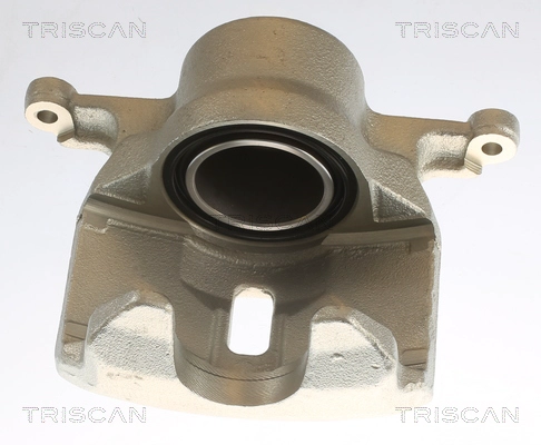Brake Caliper (8175 14101)