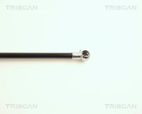 Gas Spring, boot/cargo area