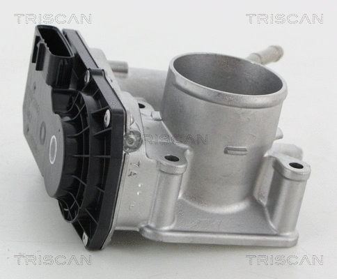 Throttle Body (8820 13002)