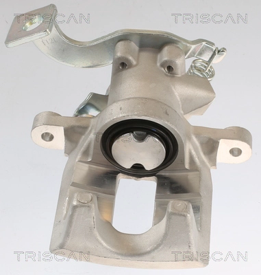 Brake Caliper (8175 13211)