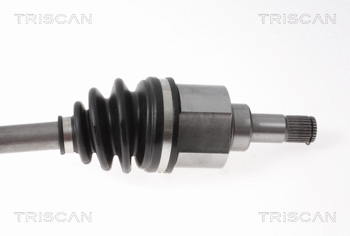 Drive Shaft