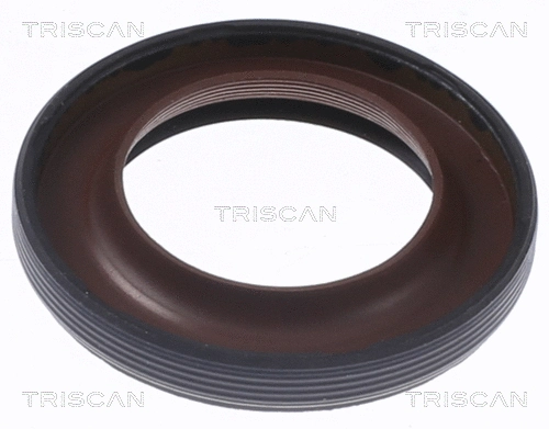 Shaft Seal, camshaft (8550 25004)